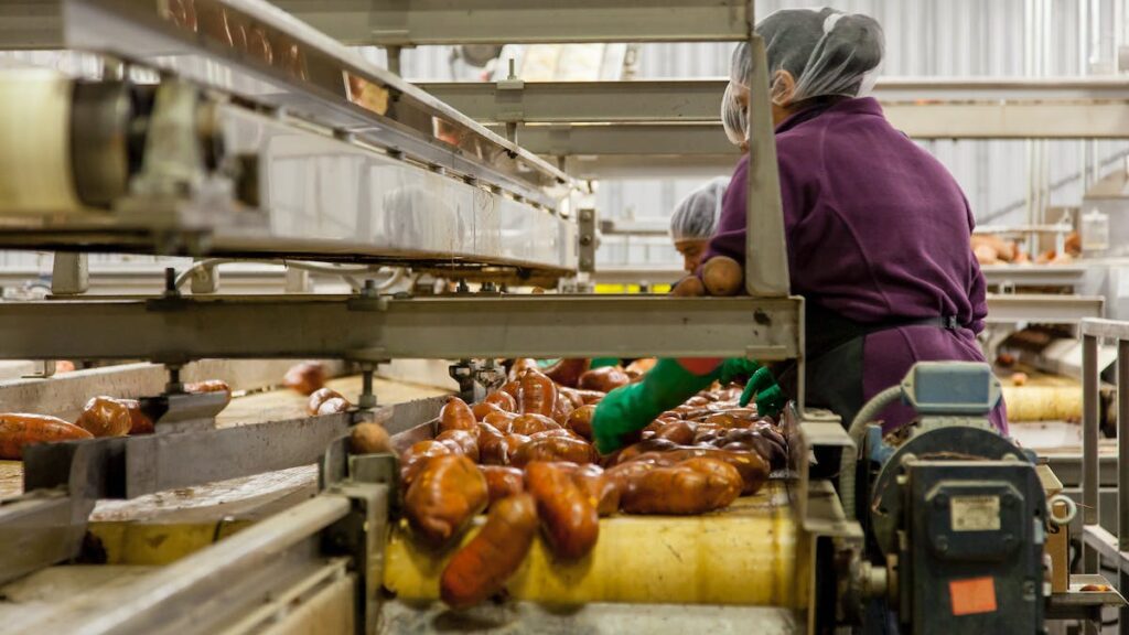 Prevenzione nell' industria alimentare